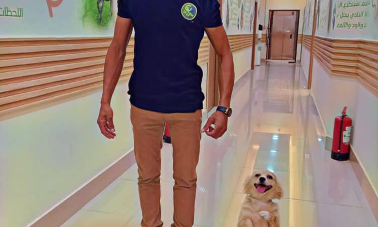 مدرب كلاب متخصص