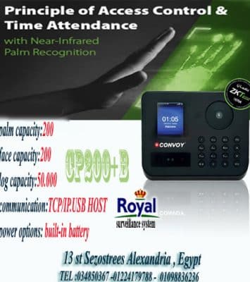 csm Palm identification teaser 750x6c00 c00a72f319